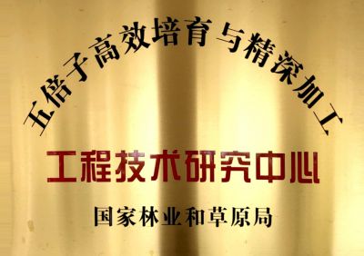 工程技術(shù)研究中心